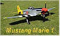 P 51  -  Mustang Marie   -   Flight 8
