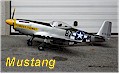 P 51  -  Mustang