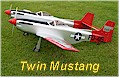 F 82 - Twin Mustang  -   Eigenbau