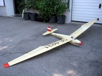 Beschreibung Minimoa (Pollack)